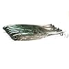 DrFish-Softbait-Wiggle-Shad-Soft-Plastic-Swimbait-Fishing-Lure-Smallmouth-Bass-Perch-3-Blue-Pumpkinseed-green