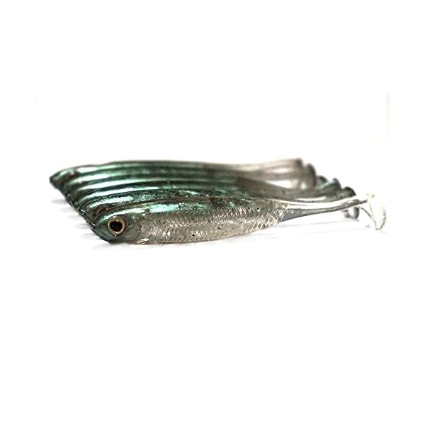 DrFish-Softbait-Wiggle-Shad-Soft-Plastic-Swimbait-Fishing-Lure-Smallmouth-Bass-Perch-3-Blue-Pumpkinseed-green