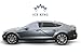 Premium Windshield Snow Cover - Durable Weatherproof Design - Protects Windshield, Wipers, and Mirrors - (2016 Model)