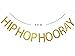 Hip Hop Hooray Gold Glitter Banner，Birthday, Play Room, Housewarming,Easter,Springtime Decor, Gallery Wall, Photo Prop (Gold)