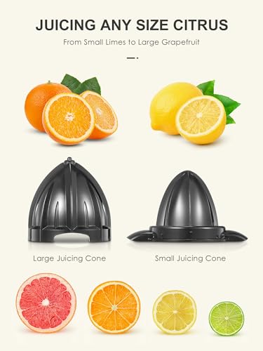 Vinato Electric Orange Squeezer, 2 Cones for All Citrus, Stainless Steel Body and Filter Electric Juicer Electric Juicer, 85W