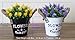 Pherypot Artificial Mini Plastic Fake Plant Flowers Potted in Black and White Metal Pot for Home Decor - Set of 2 ( Purple & Yellow with Green Grass )