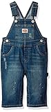 Levi's Baby Boys' Overalls, Fillmore, 24M