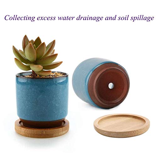 T4U 2 Inch Planter Pot Bamboo Saucer Round Set of 6, Succulent Pot