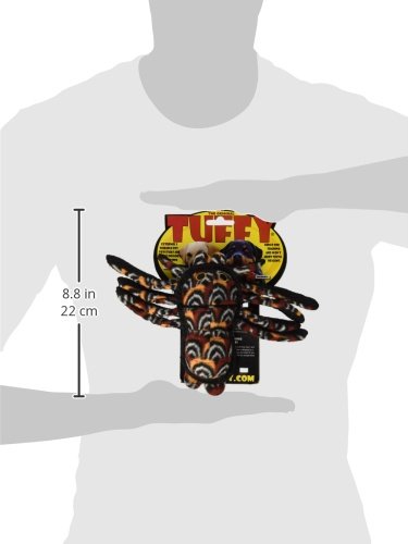 Tuffy Desert Tarantula