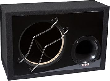 Sistema de Audio caja de 22 litros para 25 cm bajo: Amazon.es: Electrónica