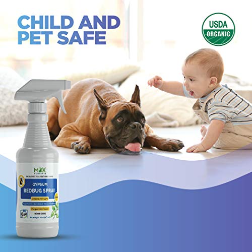 MDXconcepts Bed Bug Killer, Natural Organic Formula Fastest, 16 oz - Thumbnail 2