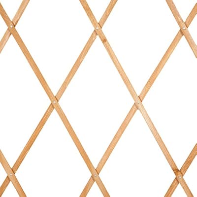 Botanico expandiéndonos enrejado madera FSC JAMMYLIZARD 180 x 30 ...