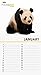 National Geographic Photo Ark Perpetual Calendar
