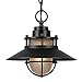 Globe Electric Liam 1-Light Outdoor/Indoor Pendant, Black, Matte Finish,44166, Bulb Not Included