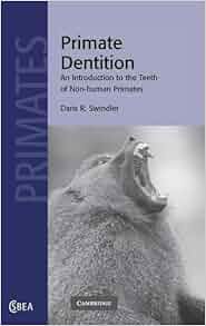 Amazon Com Primate Dentition An Introduction To The