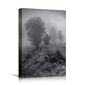 signwin Canvas Wall Art Expressive Landscape Chic Dramatic...