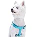 Blueberry Pet Essentials Step-in Dog Harness, Medium Size | Adjustable Turquoise Vest | Classic Solid Nylon for Boy & Girl Dogs, Chest Girth 20