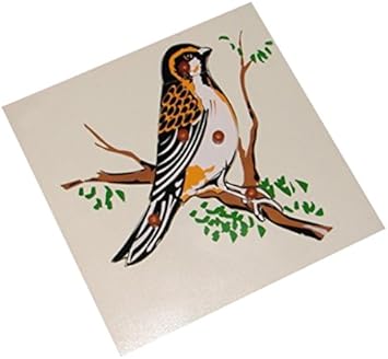 Kido Montessori Materials - Bird Puzzle: Wooden Montessori Zoology Jigsaw Puzzle