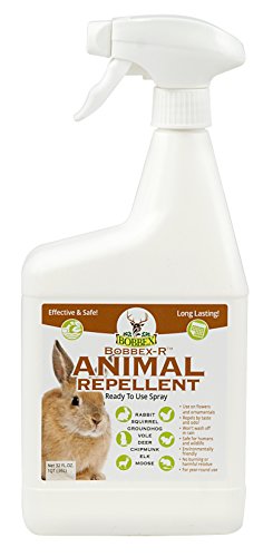Animal Repellent - Bobbex | Ready-To-Use Outdoor Rabbit, Squirrel, and Chipmunk Repeller Spray (32 oz.) B550125