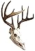 Skull Hanger, Firearms Style