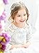 Yean Babys Breath Hair Piece Wedding Hair Vine Silver Rhinestone Headband Bridal Branch Crystal Wreath Crown Bridal Flower Vine Accessories for Bride and Bridesmaid (Silver)