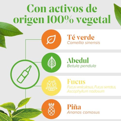 Arkofluido Quemagrasa Bio 20 Ampollas, Control de Peso, Saciante, Elimina Líquidos y Toxinas Más Asesoramiento Nutricional, Complemento Alimenticio, 20 Unidad (Paquete de 1)