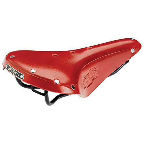 Brooks England Saddles Men's B17 Cambium Bike Saddle