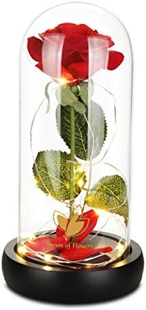 Dream of Flowers Mother's Day Womens Gifts Preserved Rose Beauty