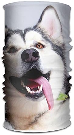 Magic Headwear Dogs Muzzle Outdoor Scarf Headbands Bandana Mask Neck Gaiter Head Wrap Mask Sweatband