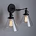 Phansthy 2-Light Industrial Wall Light Black Wall Sconce Light Fixture with Dual 7.3 Inches Cone Clear Glass Canopy(Black)