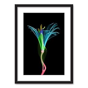 Framed Wall Art Flowers Giclee Printed Art in Black Picture Frames White Matting - 23x31 inches