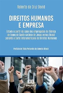 Livro Direitos Humanos e empresa: estudo a partir do caso dos empregados da Fábrica de Fogos de Santo Antônio de Jesus versus Brasil perante a Corte Interamericana de Direitos Humanos
