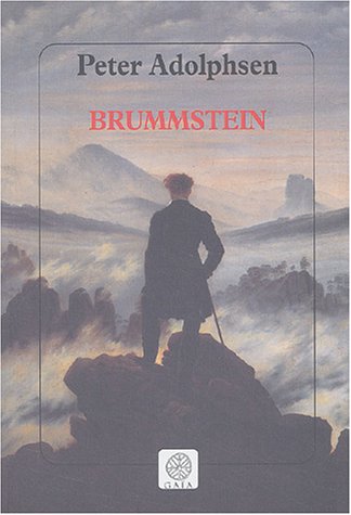 Brummstein: roman