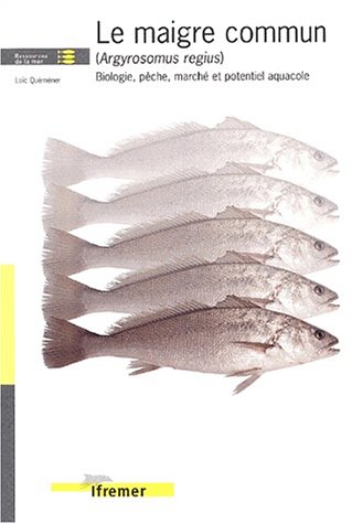 Le  maigre commun (Argyrosomus regius)