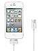 iPhone 4s Charger, Kabe Baer 30 Pin USB Sync and Charging Data Cable for iPhone 4/4s, iPhone 3G/3GS, iPad 1/2/3, iPod - 3.2 Feet 1 Meter (2 Pack)