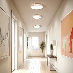 Peblto Modern LED Ceiling Light, Round Shape Flush