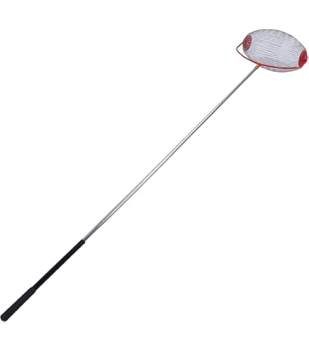 Rouleau Cueilleur De Glands Et Noix - Ramasseur Manuel Avec Tige Télescopique - Pour Noix, Châtaignes, Balles De Golf