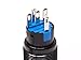 mod/smart Blue Illuminated Bulgin Style Momentary Vandal Switch - 22mm -Black Housing - Ring Illumination