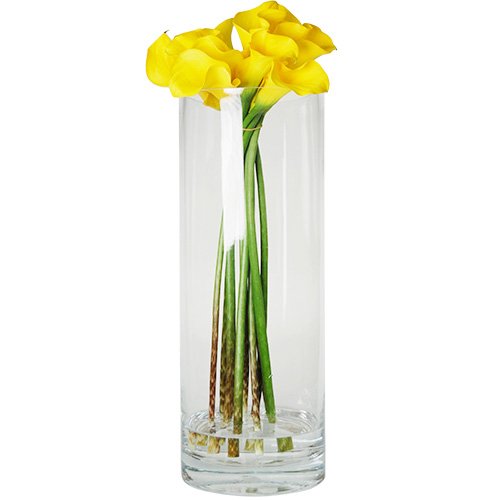 Cylinder Vase, Dia:5" H:18" (6 pcs)