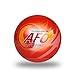 stacy riccelli Fire Extinguisher Ball Self-Activation -Fire Suppression Device (1)