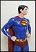 Life Size Superman Returns Brandon Routh Superhero Statue Prop