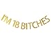 I'm 18 bitches banner for 18th birthday party decor