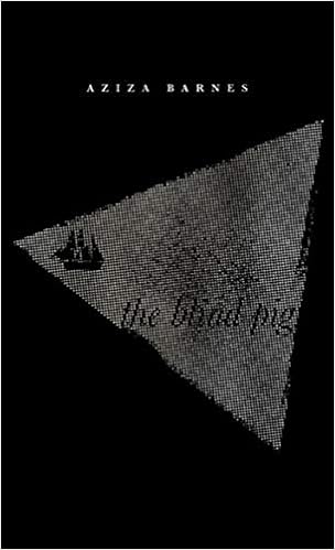 The Blind Pig Amazon Co Uk Barnes Aziza 9781945649325 Books The Blind Pig Amazon Co Uk Barnes Aziza 9781945649325 Books
