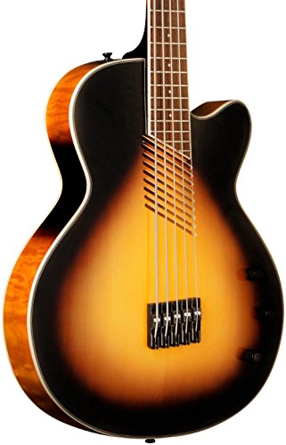 4 Washburn+Acoustic+Electric+AB45VSK+Acoustic+Electric