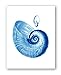 Blue Seashells Decor Art Prints Set of 6 unframed Beach Coastal Decor Wall Art
