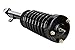 Prime Choice Auto Parts CST100284PR Pair of Complete Strut Assemblies