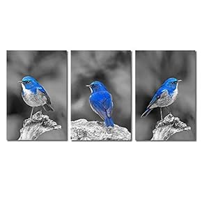 3 Panel Color Splash of Blue Bird with...