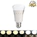 iThird Remote Control LED Light Bulbs Dimmable Adjustable Color Temperature 60 Watt Equivalent Indoor/Outdoor Lighting Lamp 8W E26 2 Pack(Controller Not Included)