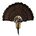Walnut Hollow Country Turkey Fan Mount & Display Kit, Oak with Spring Strut Image