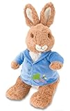 Beatrix Potter Peter Rabbit