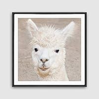 Framed Canvas Wall Art Alpaca Canvas Prints Home Artwork Decoration for Living Room,Bedroom - 16x16 inches