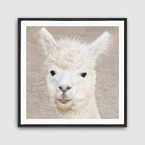 Framed Alpaca Home Artwork for Living Room Bedroom
