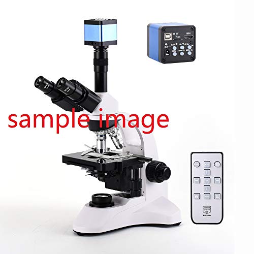 HAYEAR 16MP Full HD 1080P 60FPS HDMI USB HD Output Industry C-Mount Microscope Video Camera + Remote Control