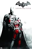Trends International Arkham City Key Art Wall Poster 22.375